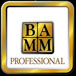 BAMM - British Association for Modern Mosaics