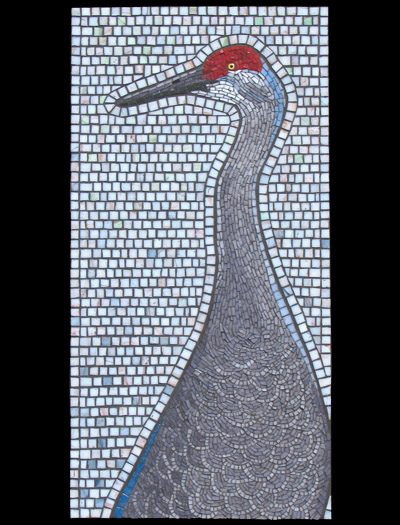 sandhill crane