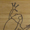 detail