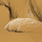 sandra groeneveld